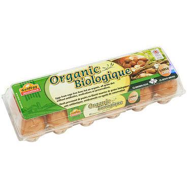 营养能量<br>有机鸡蛋