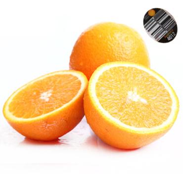 澳洲黑标大甜橙<br>Premium Australia Oranges (Large)