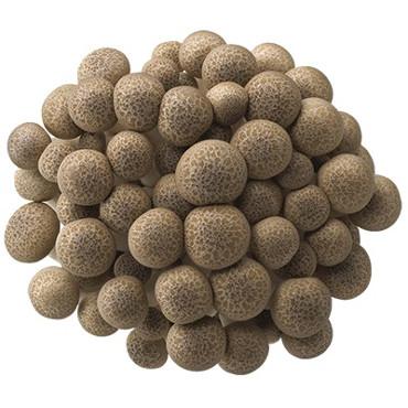 松茸菇<br>Brown BunaShimeji Mushrooms