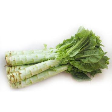 精选莴笋<br>Chinese Lettuces
