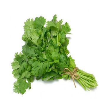 鲜香菜<br>Chinese Parsley