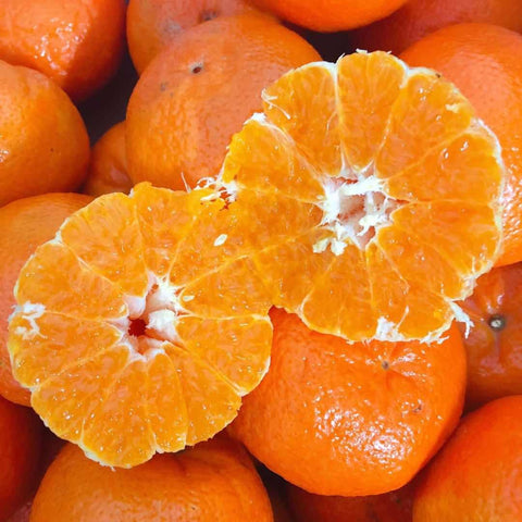 爆汁大蜜柑<br>Israel Mandarin