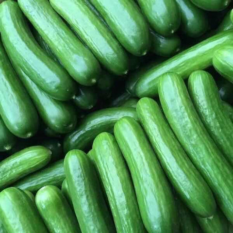 本地农场小黄瓜<br>Local Mini Cucumbers