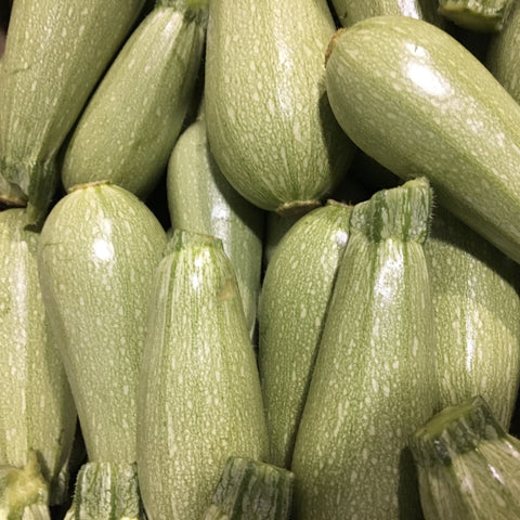 小葫芦瓜<br>Gray Zucchini