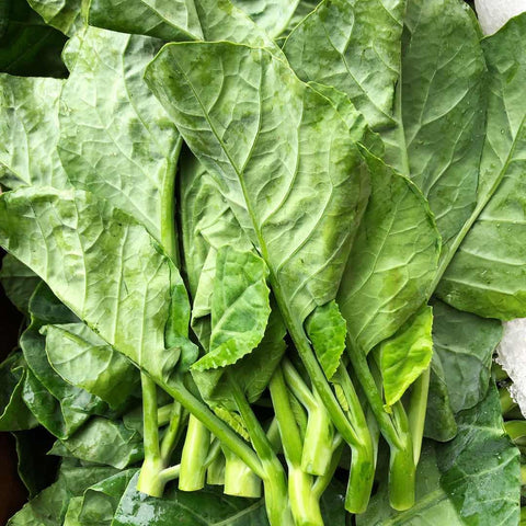 精选嫩芥蓝苗<br>Selected Gailon Tips