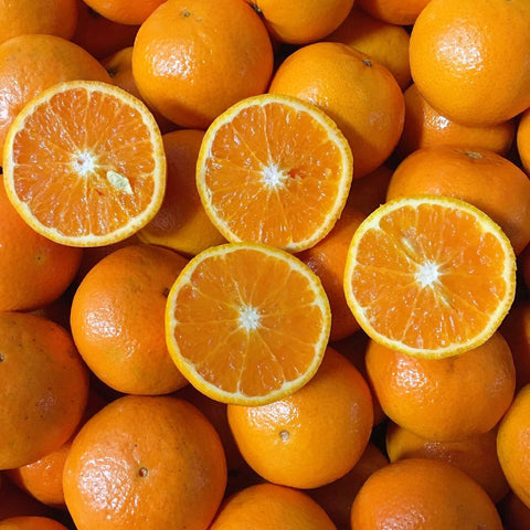 ORRI Mandarin<br>以色列奥利甜橘