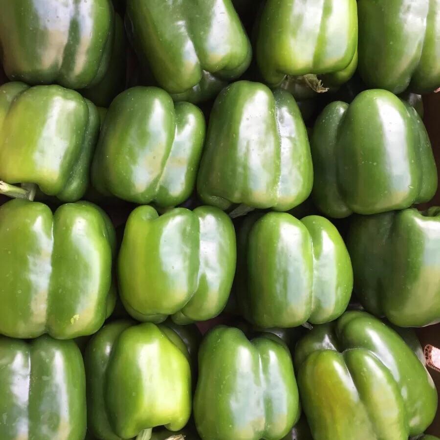 本地农场圆绿椒<br>Local Green Bell Peppers