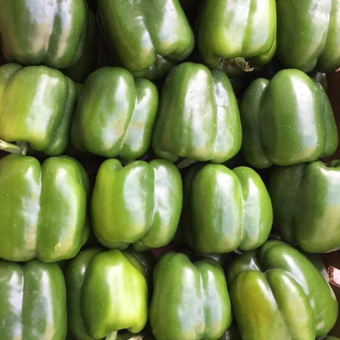 本地农场圆绿椒<br>Local Green Bell Peppers
