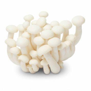 有机白玉菇<br>Organic  BunaShimeji Mushrooms