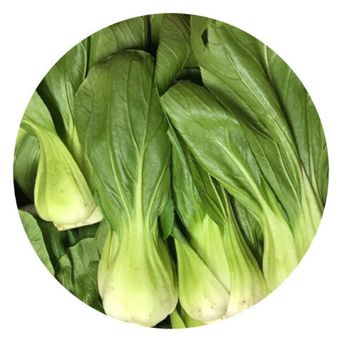 精选上海青<br>Shanghai Bok Choy