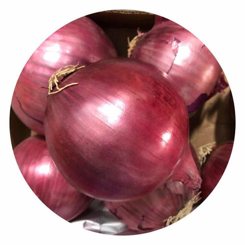 紫洋葱<br>Red Onions