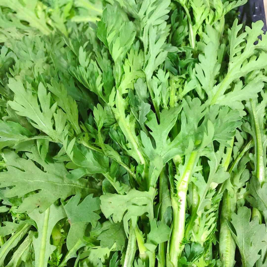 火锅必备<br> 时令-小叶茼蒿