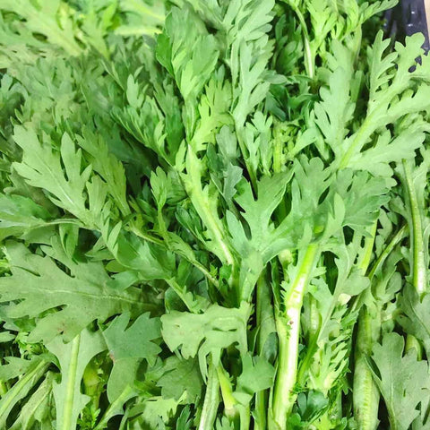 火锅必备<br> 时令-小叶茼蒿