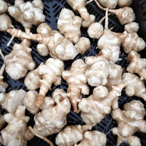 大瀑布农场有机方式种植(腌制大份量)<br>洋姜(菊芋)