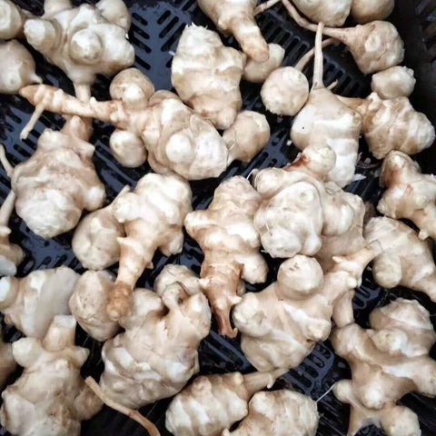 大瀑布农场有机方式种植(炒菜小份量)<br>洋姜(菊芋)