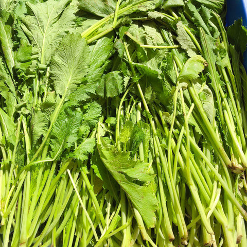 有机方式种植(炒菜小份量)<br>老吴农场雪里蕻