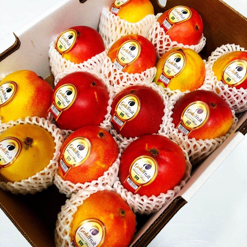 太阳之子<br> 圣诞有礼🎄原箱空运顶级海登芒