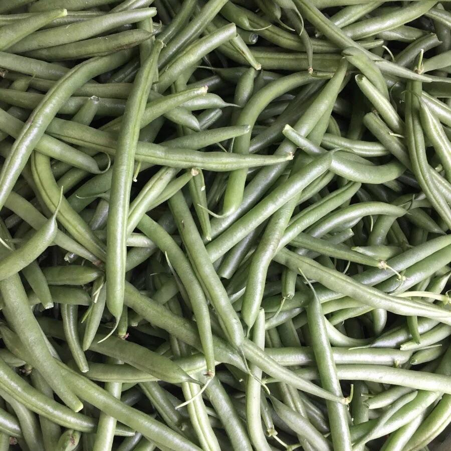 四季豆<br>Green Beans
