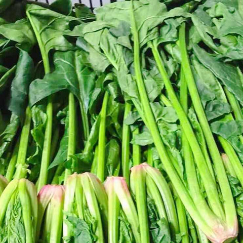 精选菠菜<br>Selected Spinach