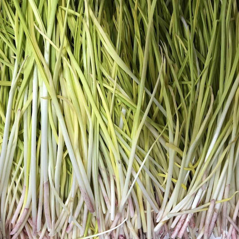 有机方式种植<br>老吴农场蒜黄