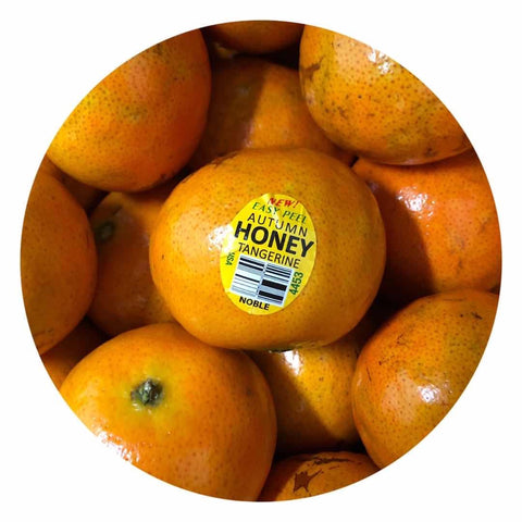 时令-弗洛里达薄皮蜜柑<br>Florida Autumn Honey Tangerines