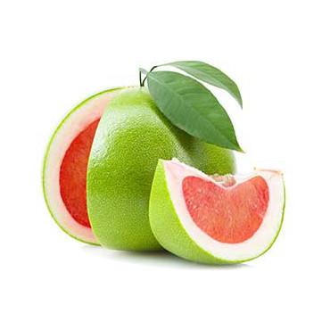 时令-以色列营养红肉柚<br>Jaffa Grape Fruit