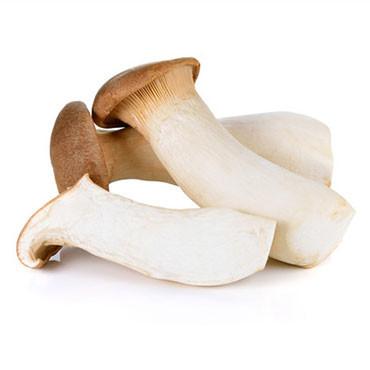 皇子菇<br>KingOyster Mushrooms
