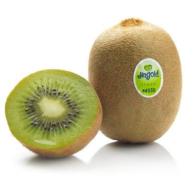 Jingold绿猕猴桃<br>Italian Kiwi Green