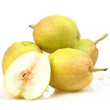 原箱正宗新疆库尔勒香梨<br>Korla Pears in Box