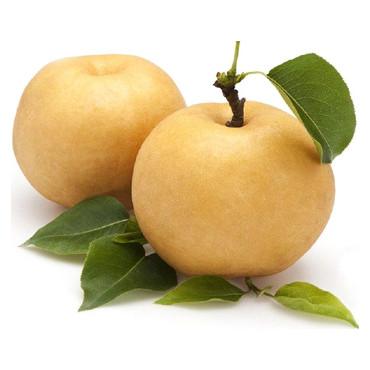 脆甜多汁<br>秋月冰糖梨