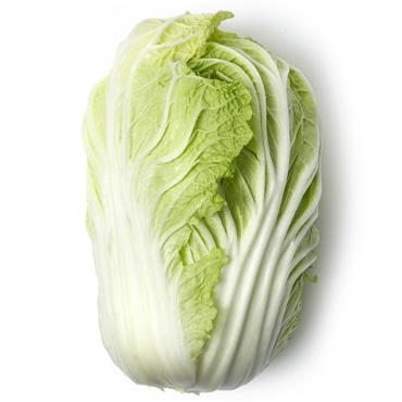 大白菜<br>Napa