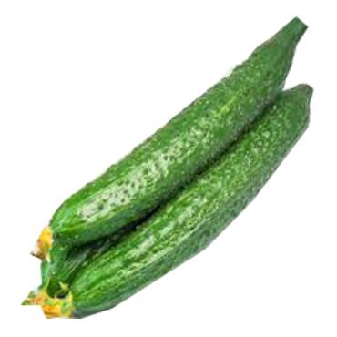 本地农场刺黄瓜（有机方式种植）<br>Local Farm Chinese Cucumber
