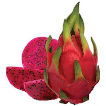越南空运红心火龙果<br>Vietam Dragon Fruit by air