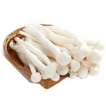 海鲜菇<br>Seafood Mushrooms