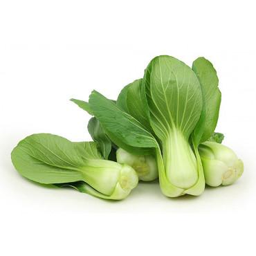 精选上海苗<br>Selected Shanghai Baby Bokchoy