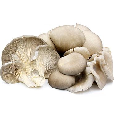 新鲜平菇<br>Fresh Oyster Mushrooms in Box
