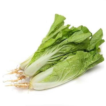 台湾小白菜<br>Taiwan Bok Choy