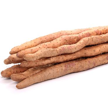 精选铁棍山药<br>Selected Iron Yamaimo