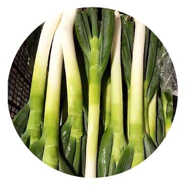新鲜京葱<br>Welsh Onion