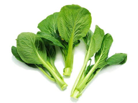 精选油菜苗<br>Baby Yu Choy